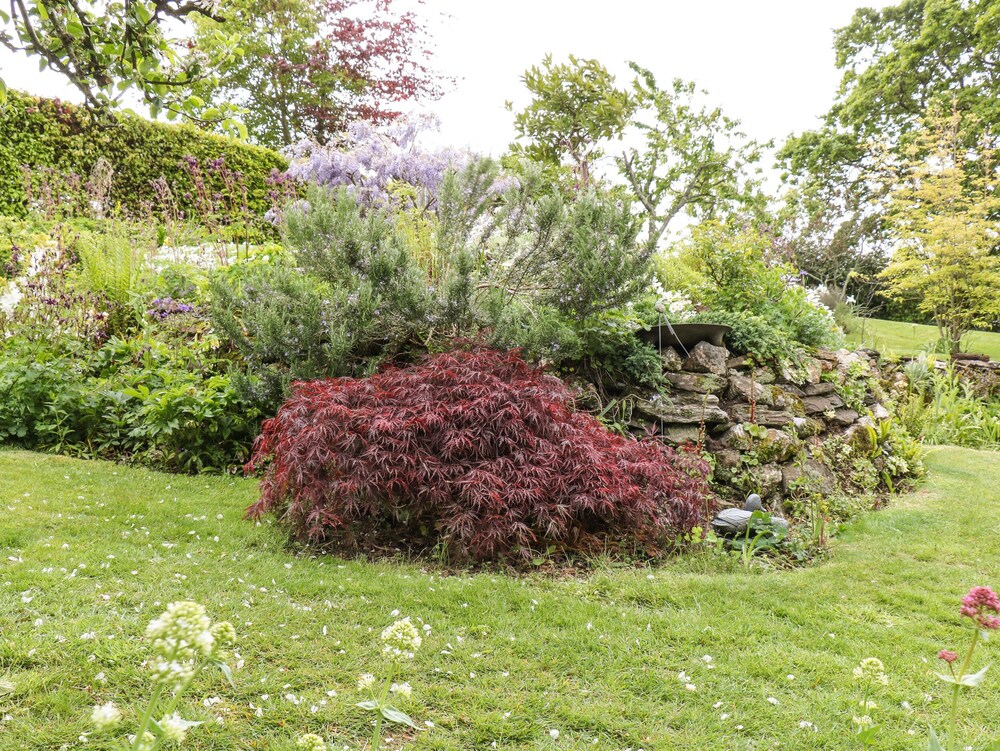 Yelverton Vacations - Clamoak Cottage - Property Image 18