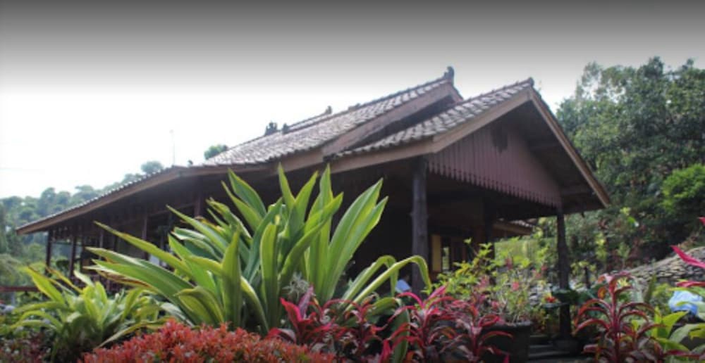 Villa Honey Robert view 3
