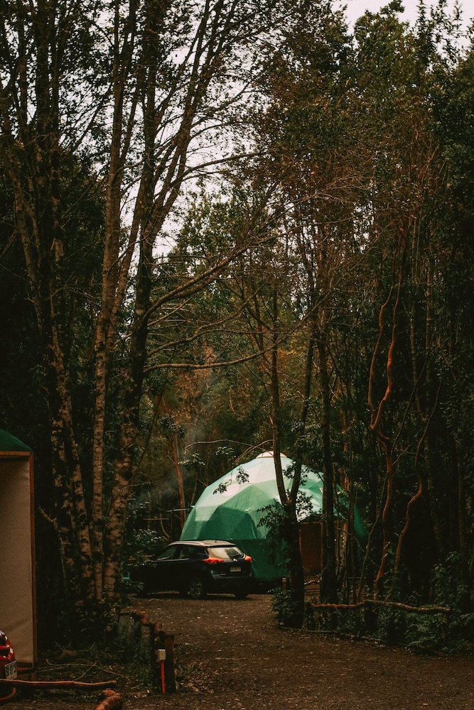 Cabañas Ensenada Bosque Nativo