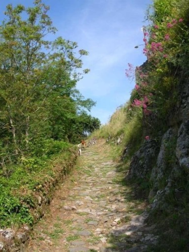 Photo 24
