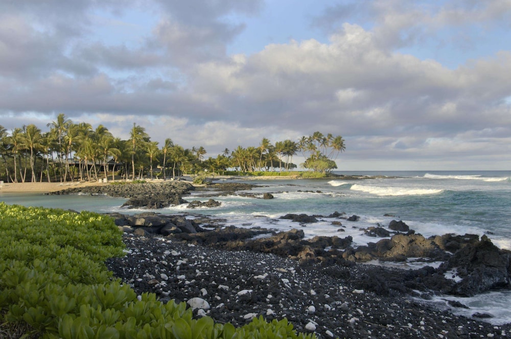 Fairmont Orchid - Property Image 177