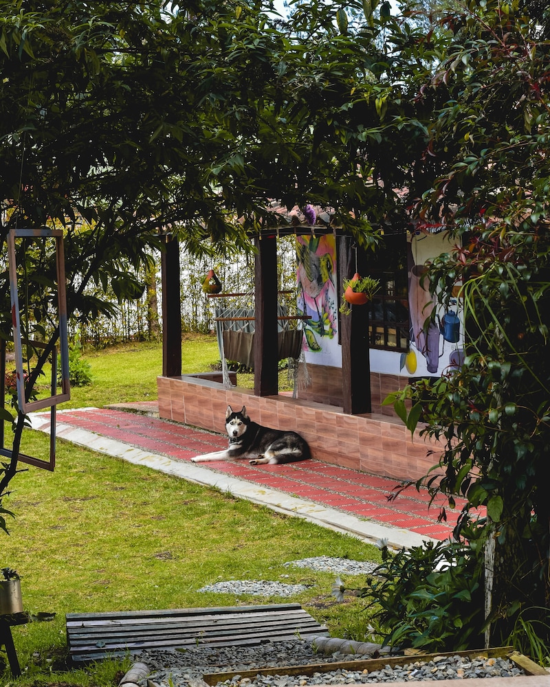 Casa Profunda