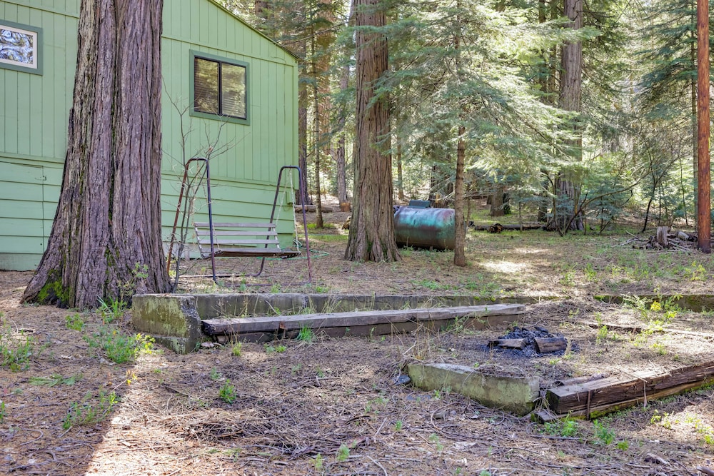 Stay Near Big Trees, Bring Your Pets: Arnold Cabin