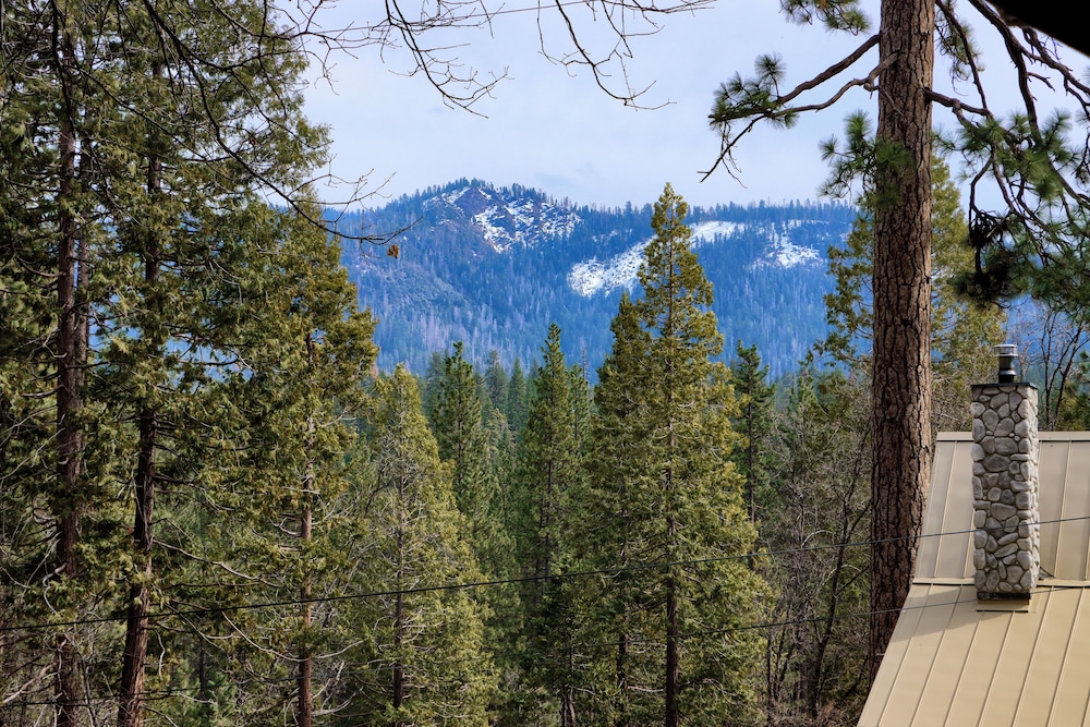 Cabin Among the Firs