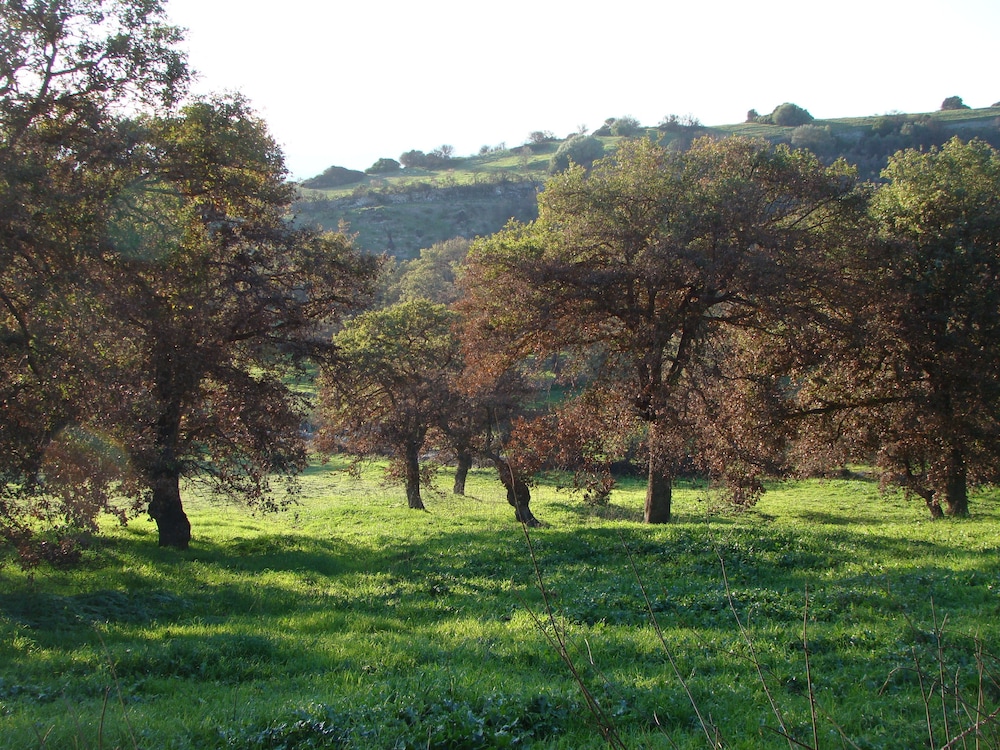 Sa Chessa view 2