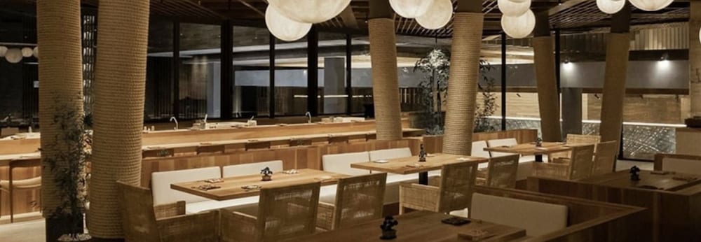 Luxury Ocean View Villa-Los Cabos at Solaz Resort