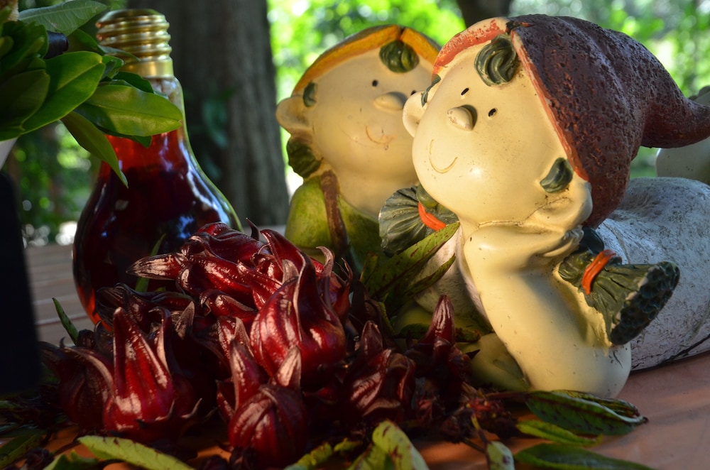 Fairy Story Ecological Farm B&B