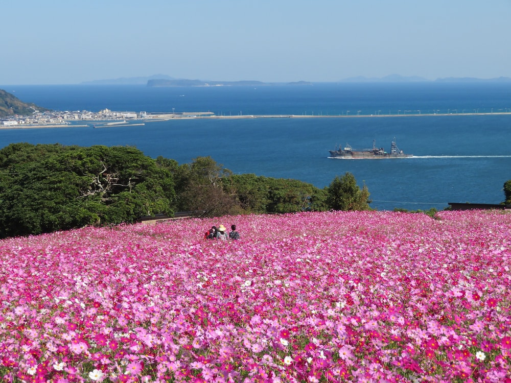 Nokonoshima Island Park Villa Sakimori