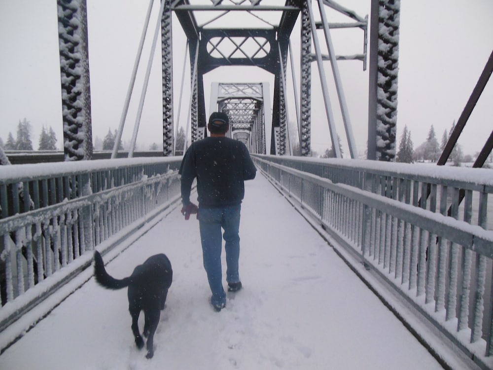 Clark Fork Lodge - Property Image 14