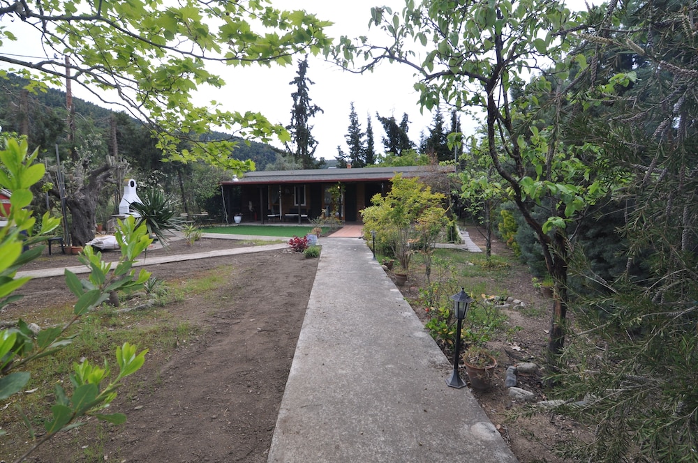 Zennova 25  Casa Mocha view 2