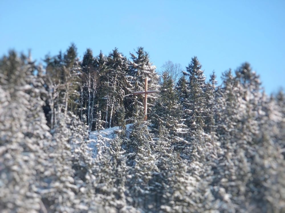 Photo 24