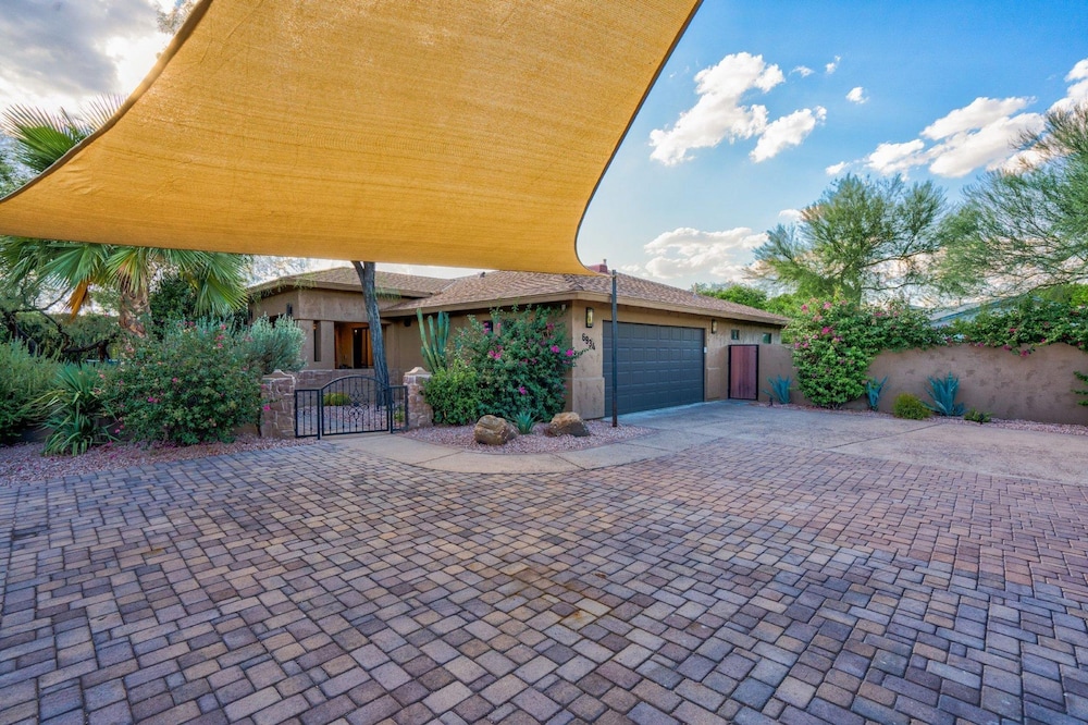 Chaparral in Paradise Valley