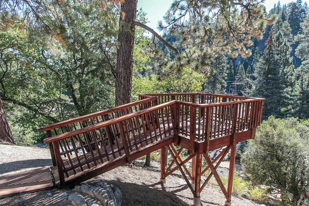 The Treehaus