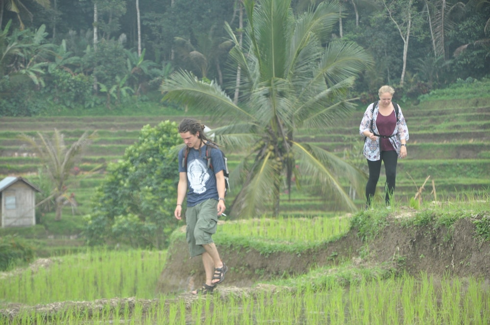 Tepi Sawah Lodge