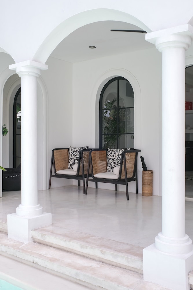 Morning Glory - Image 4