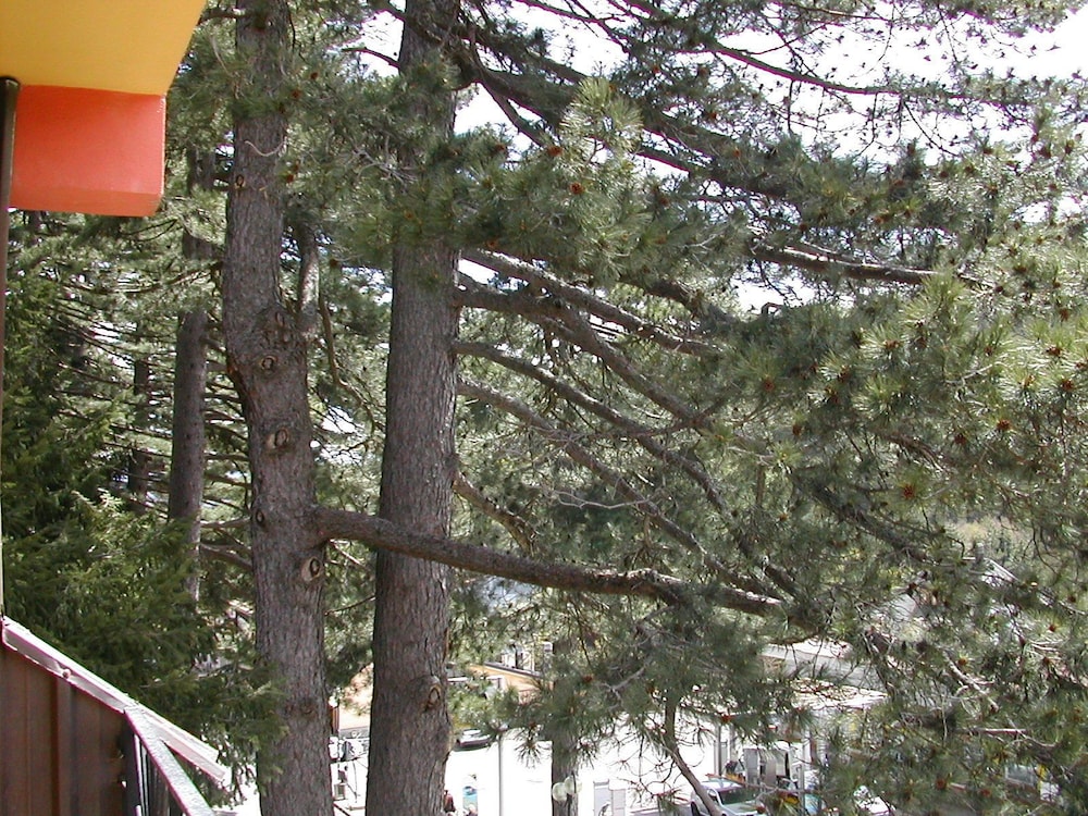 Photo 45