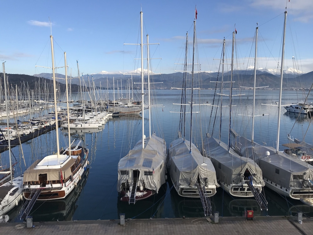 Ece Marina Suit - Image 26