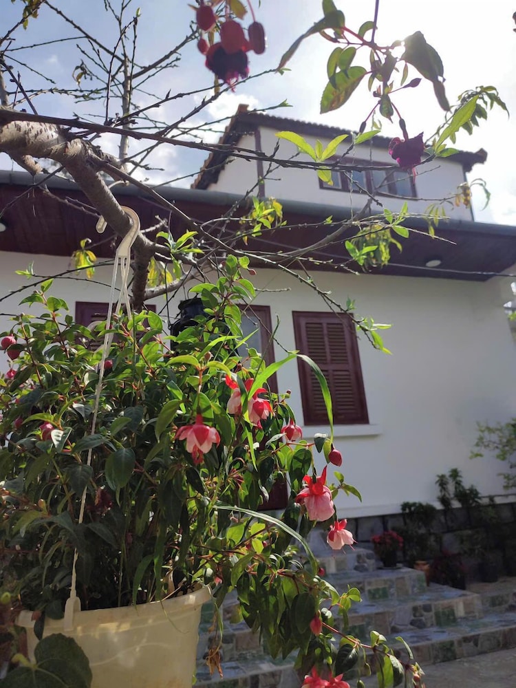 Hoa Son Villa Da Lat