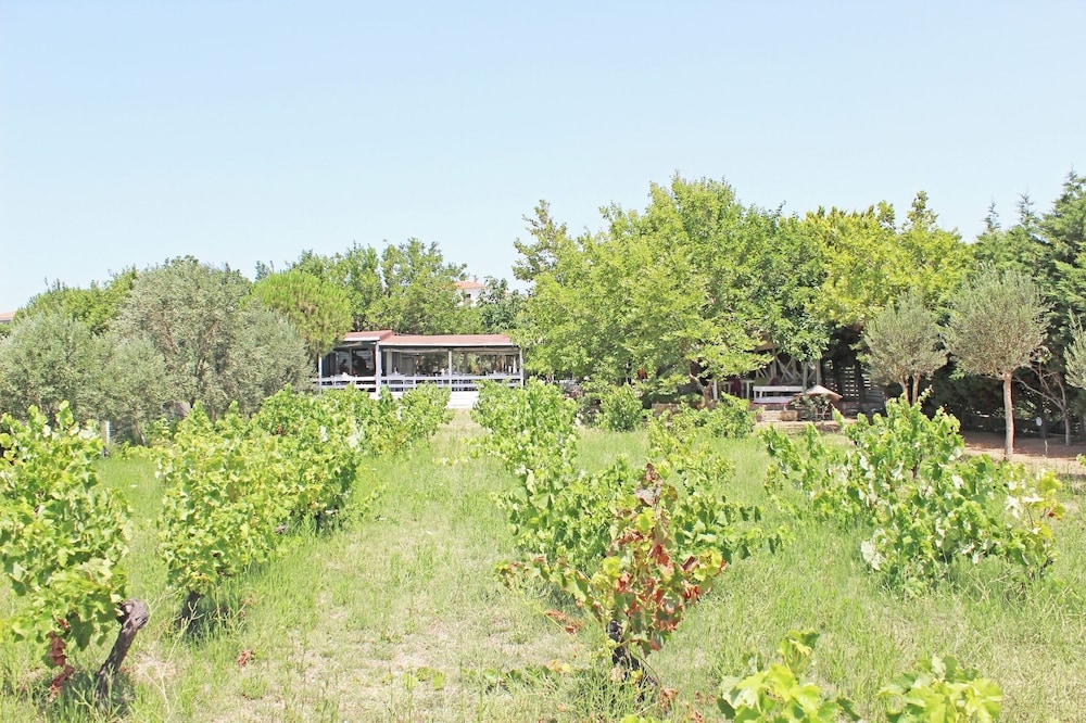 Arsipel Otel - Image 52