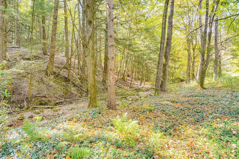 Quiet All-season Creekside Escape in Upstate!