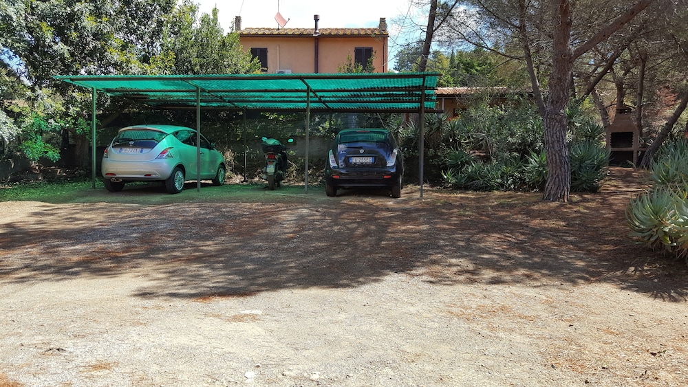 Photo 31