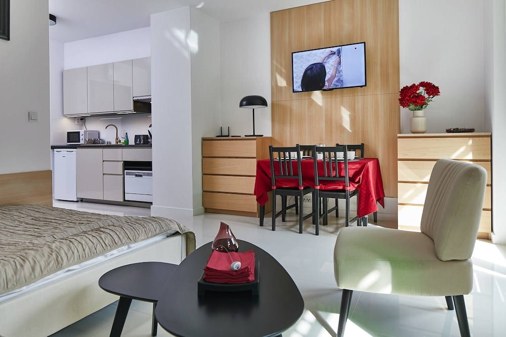 Praga Elegant Studio view 3
