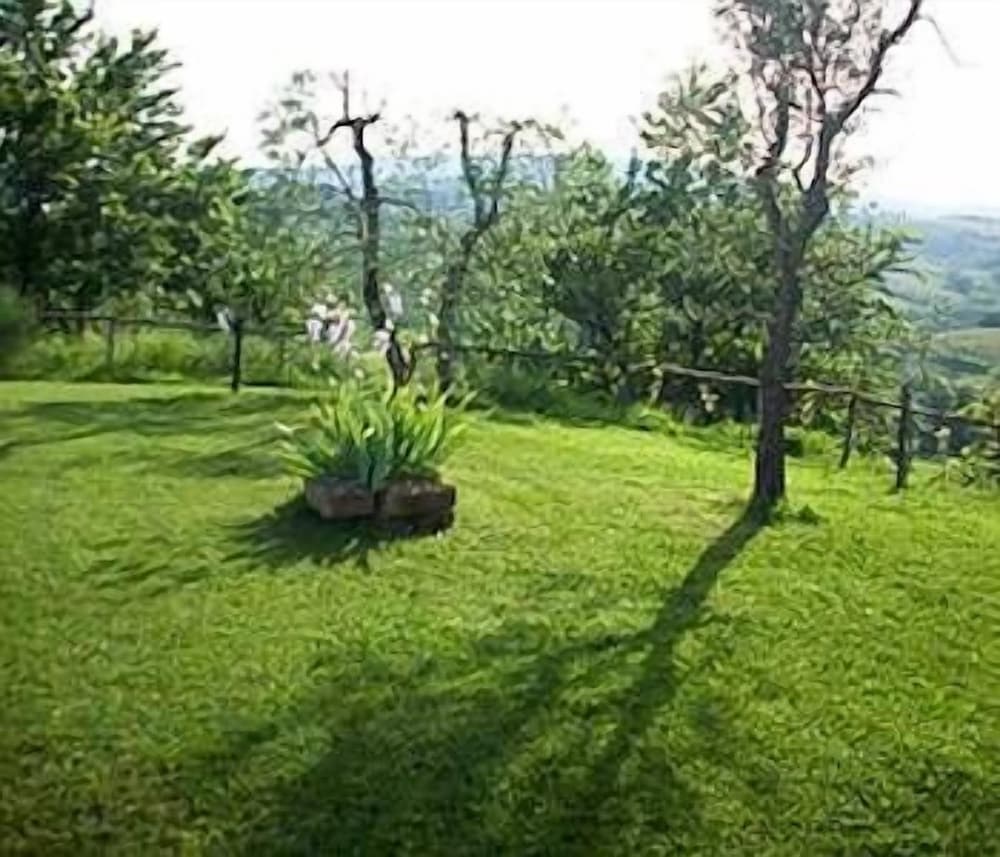Photo 52