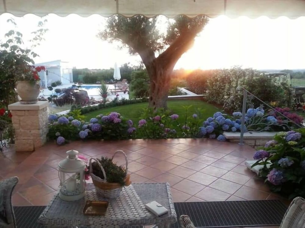 Photo 23
