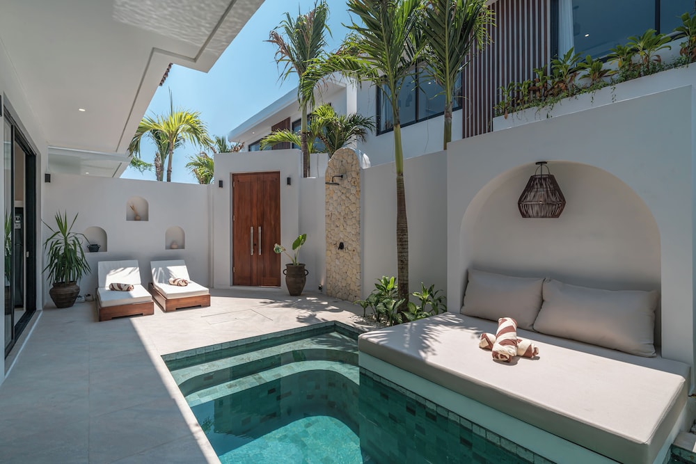 Nova Oasis 3