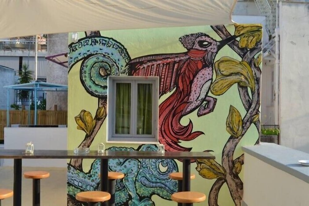 Chameleon Youth Hostel - Hostel photo 3