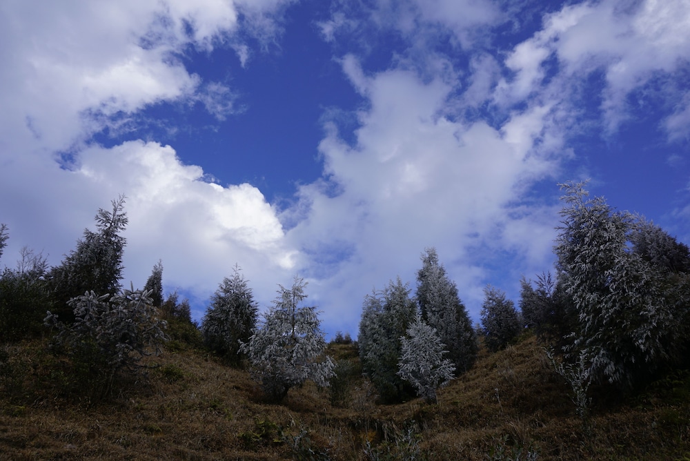 Longji Rice Terraces Hostel
