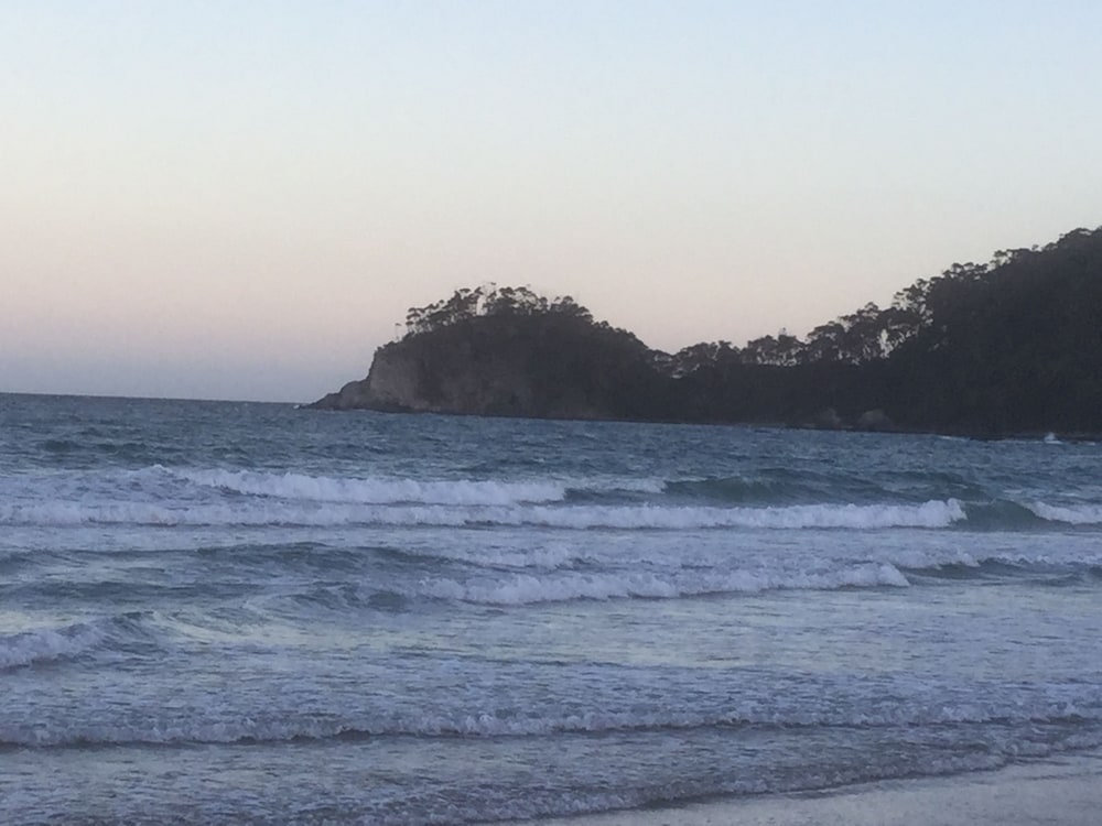 Batemans Bay Central Accommodation, photo 13