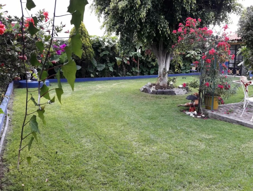 Photo 13