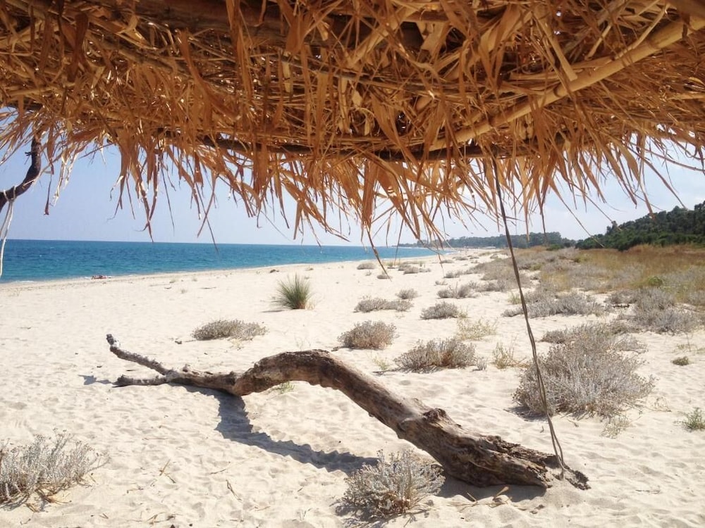 B&B Oasi