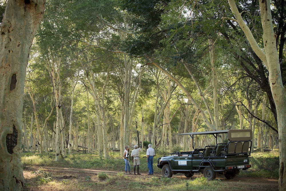 Pafuri Camp