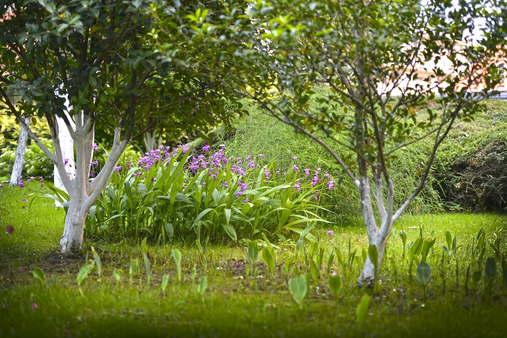 Biruza Health Resort