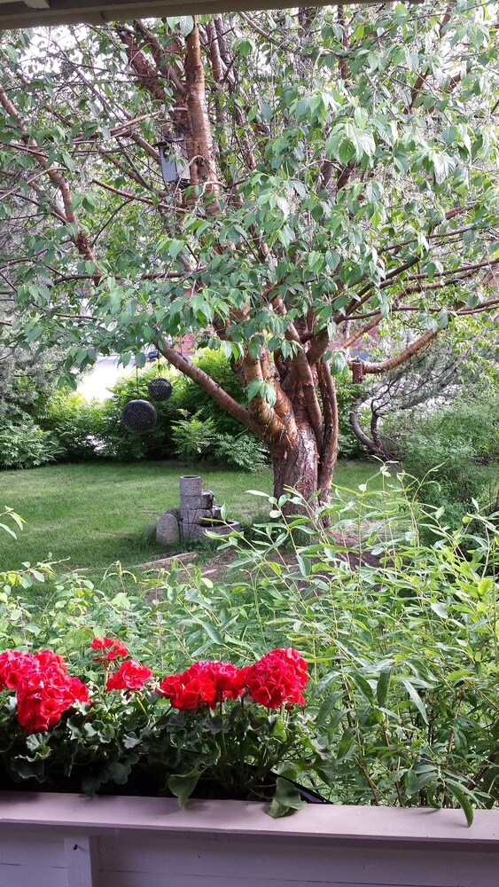Villa Gården view 5
