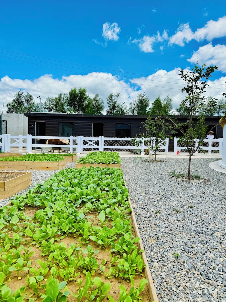 QING Luxury Campground Hotel