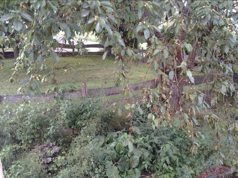 Ferienwohnung Weitblick