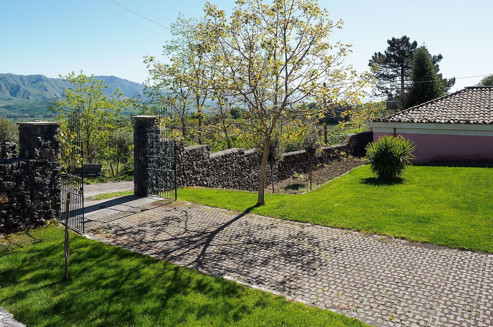 Nerello Mascalese view 4