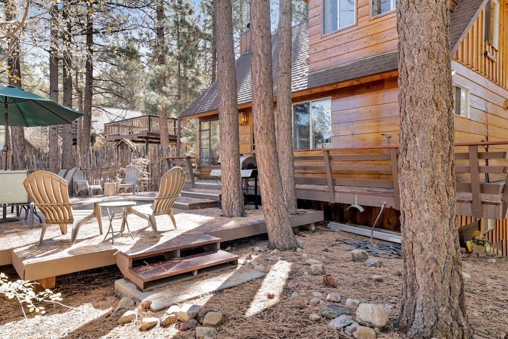 The Wilkie Cabin #339