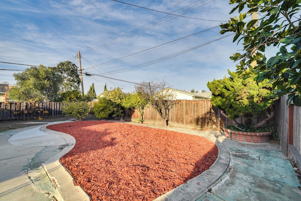 Business/family Retreat Near Levi's Stadium!