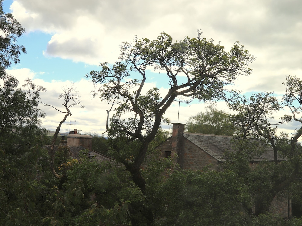 Back Cottage view 4