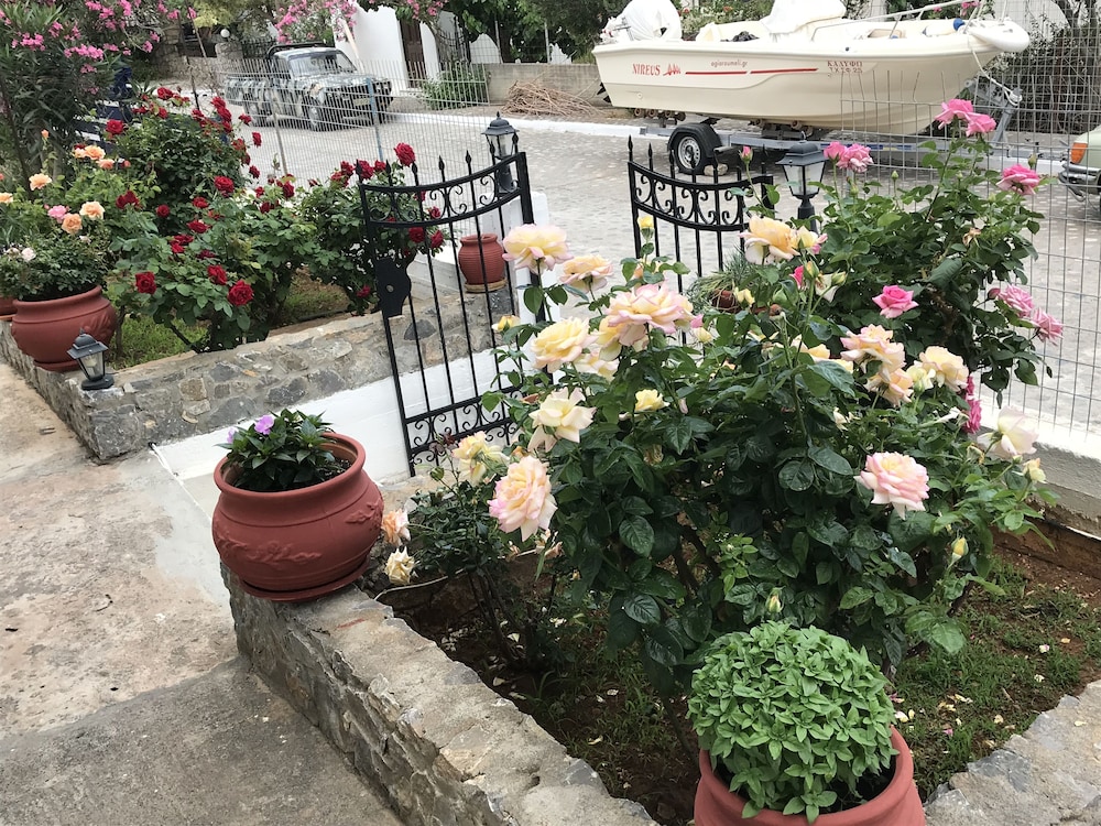 Photo 23