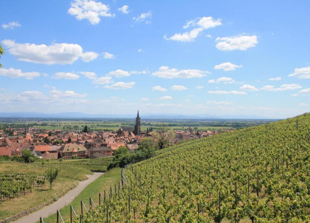 Apartment in Alsace Near Europa-park