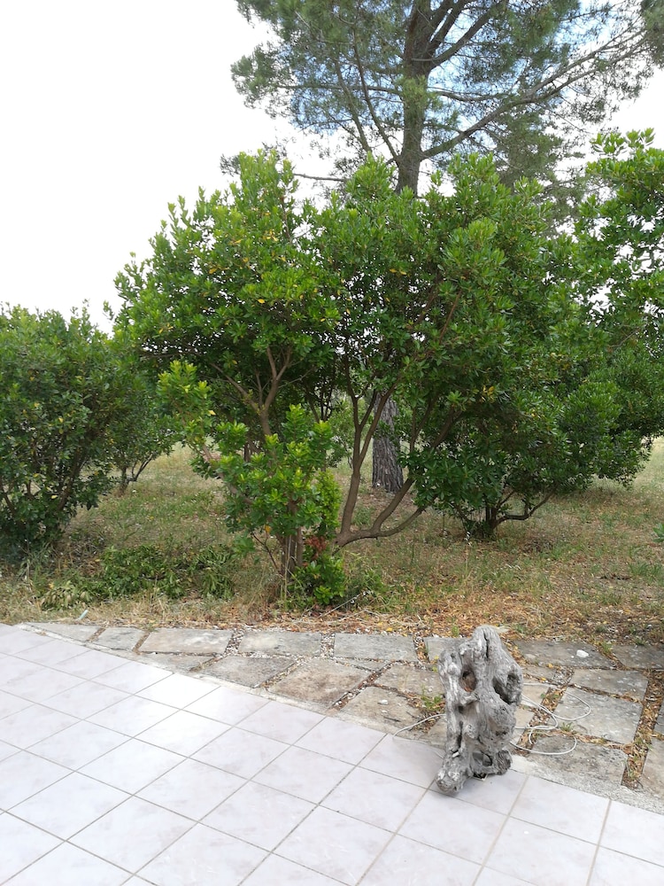 Photo 26