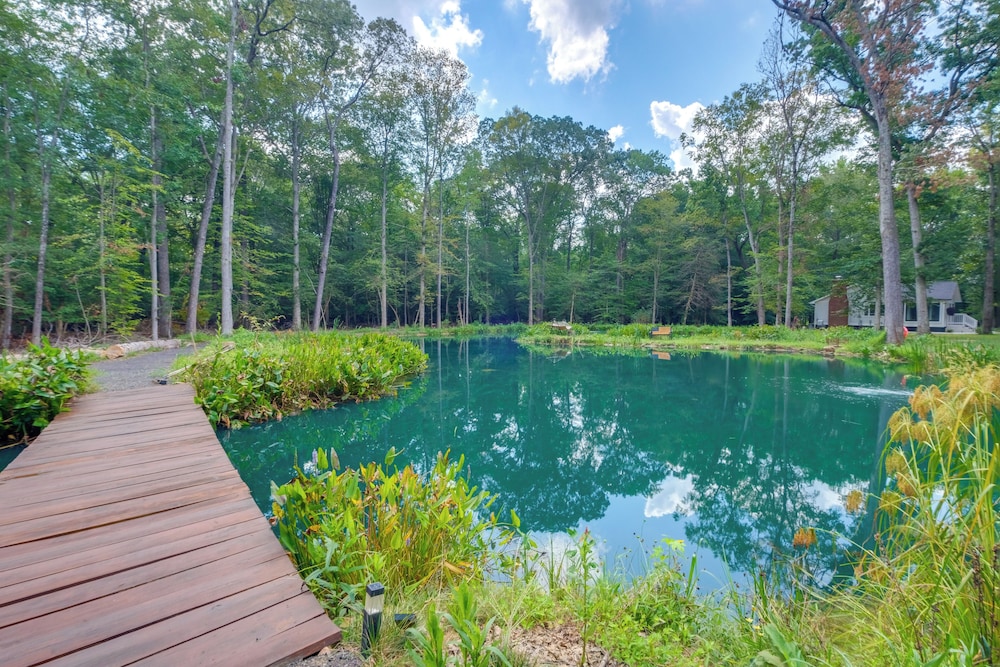 1/2 Acre Pond, Rec Room! Private Oasis in Nanjemoy