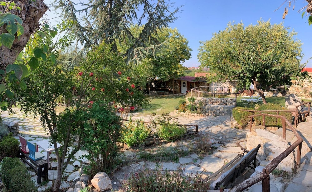 Roxani Farmhouse Getaway With Pool view 3
