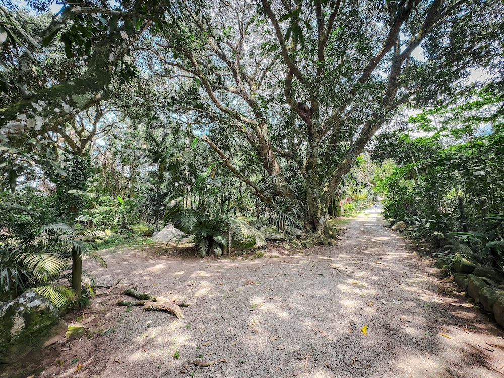 Pé na areia - Praia do Curral - Ilhabela