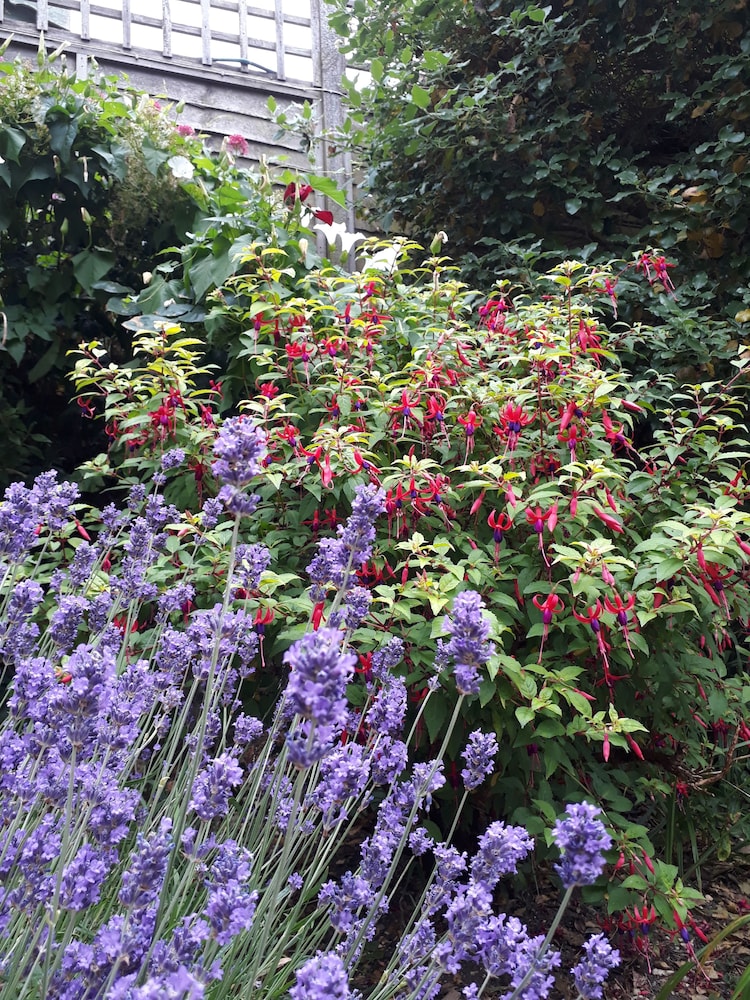 Stoneleigh Barn B&B